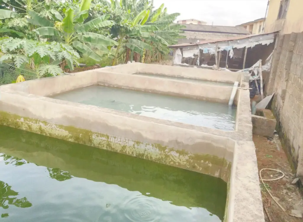 Concrete Pond For Fish Farming