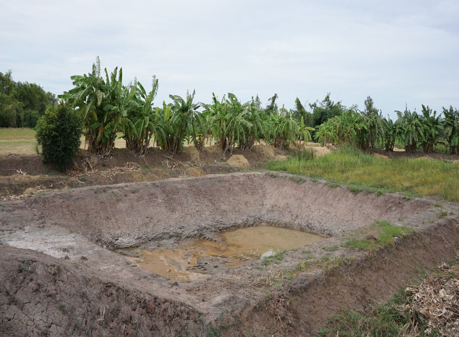 five-ecological-benefits-of-building-a-pond