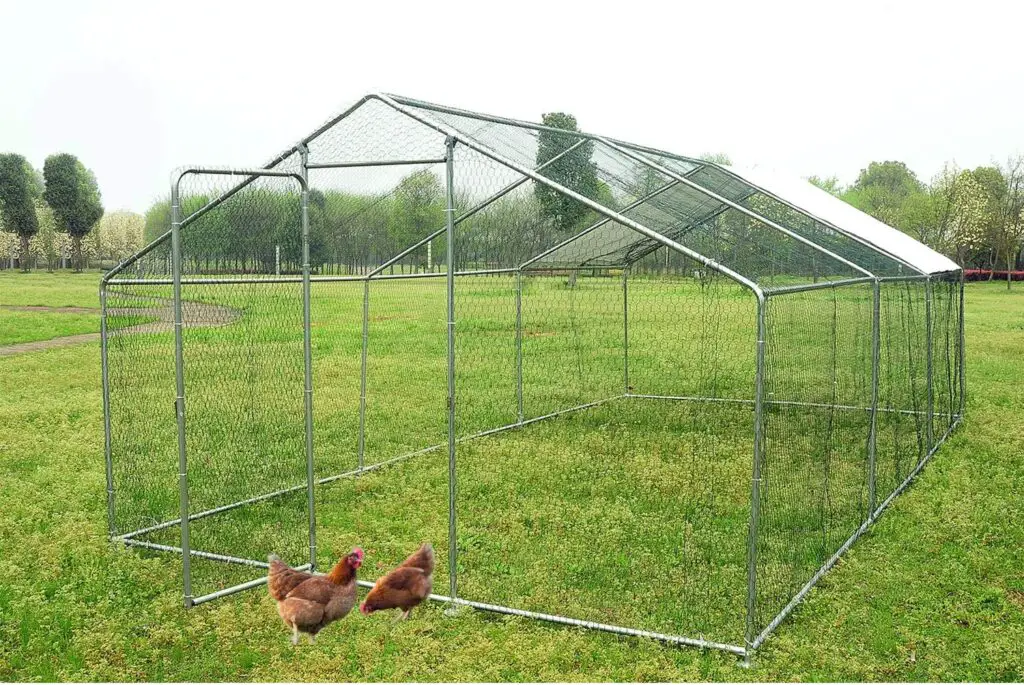 Poultry Coop
