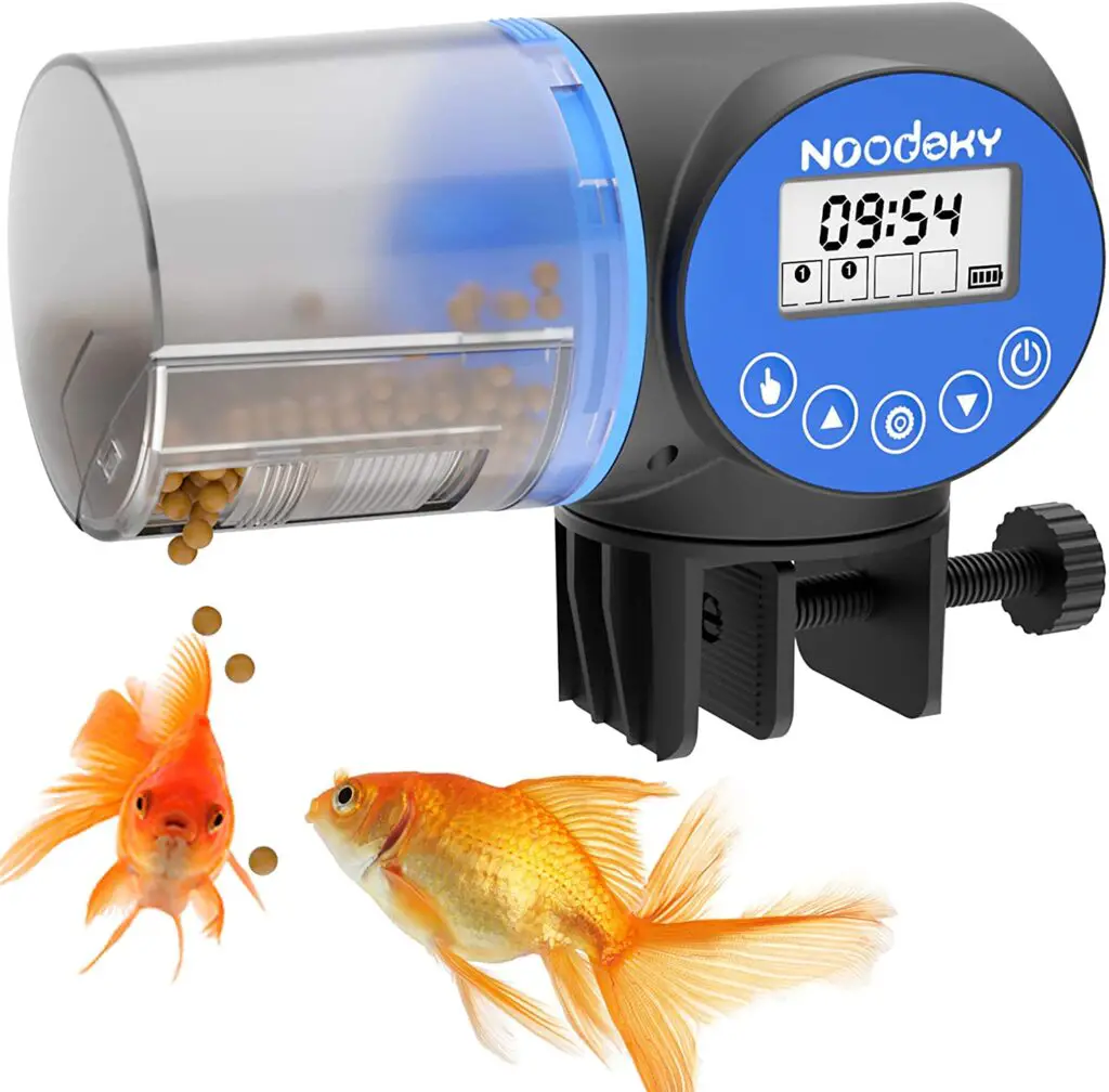 Automatic fish feeder