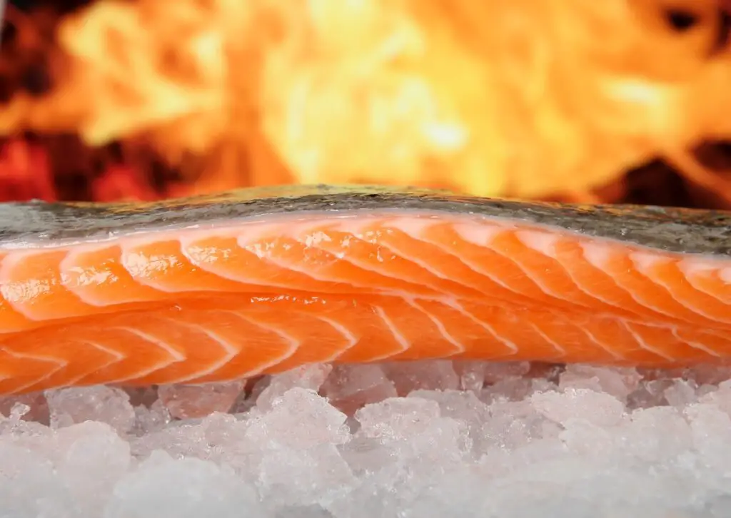 salmon, fish, food-1238662.jpg