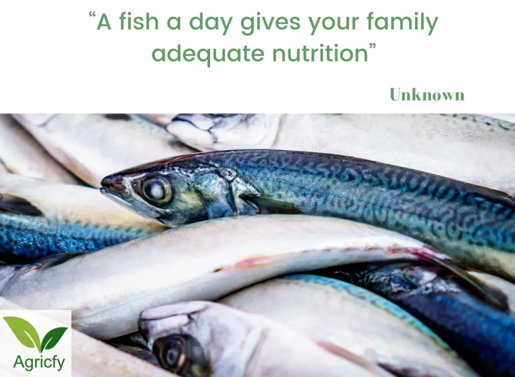 Quotes On Fish Farming