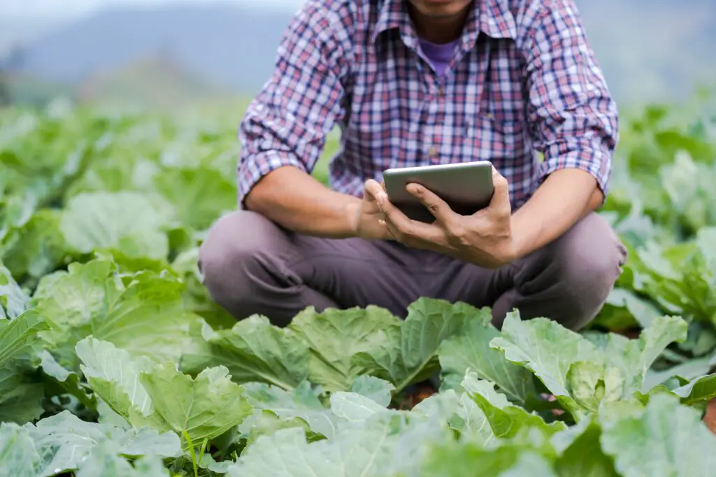 What is An Agritech Company?