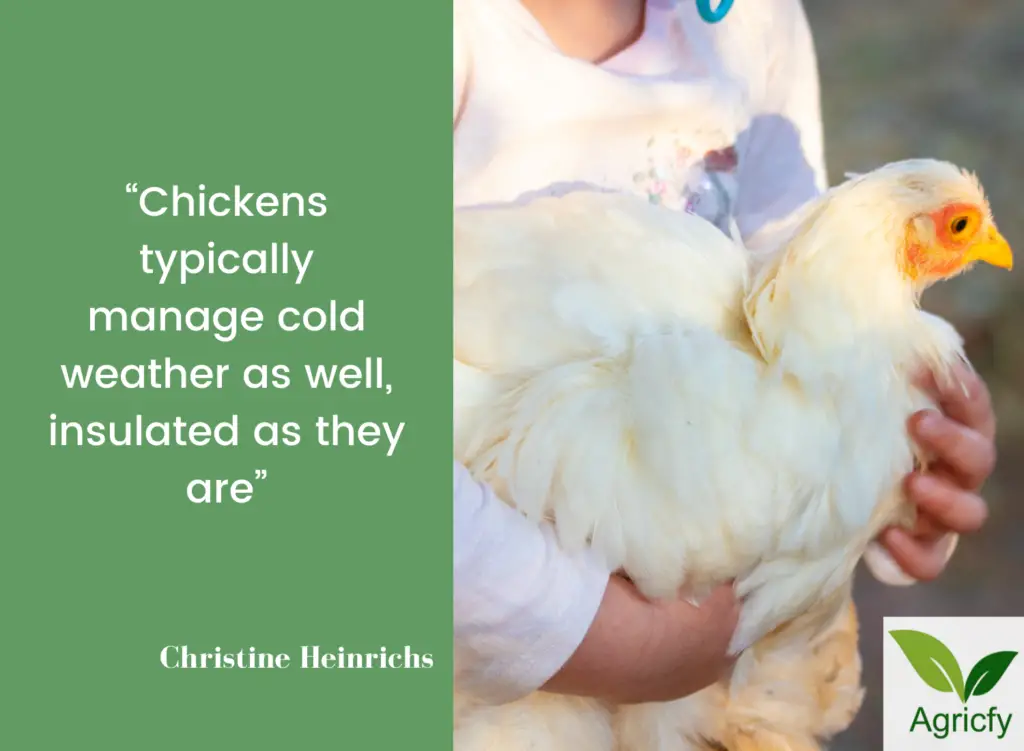 Poultry Farming Quotes