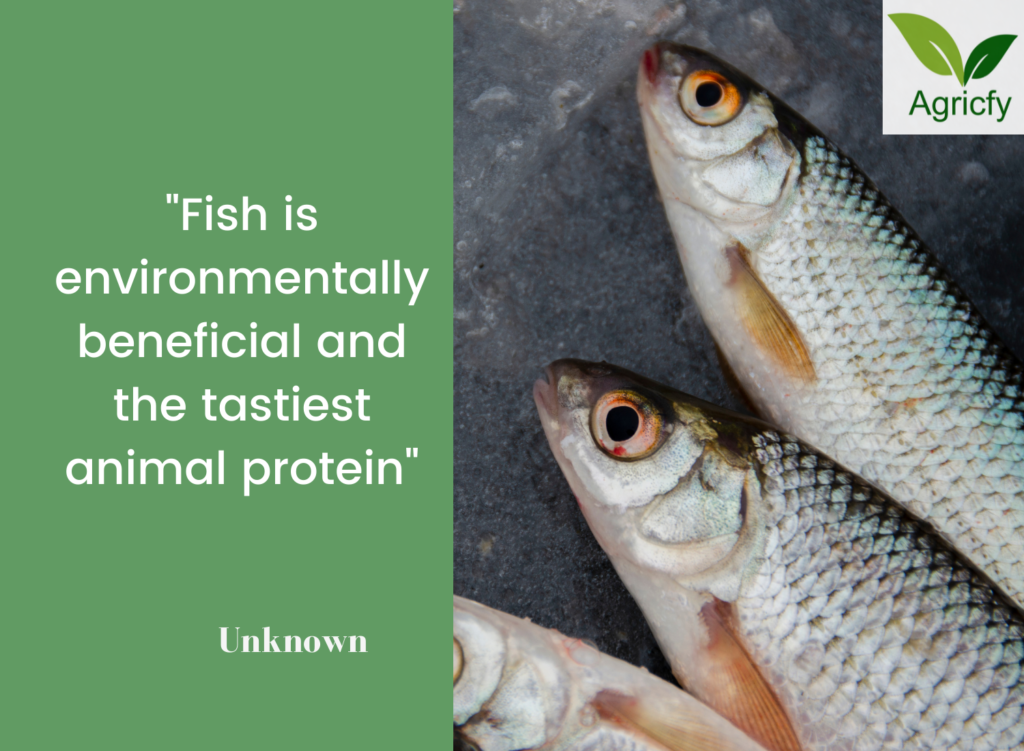 Quotes on Fish Farming