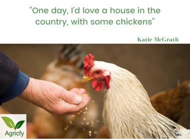 22 Funny Quotes About Chicken
