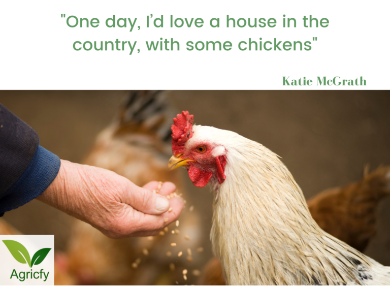 22-funny-quotes-about-chicken