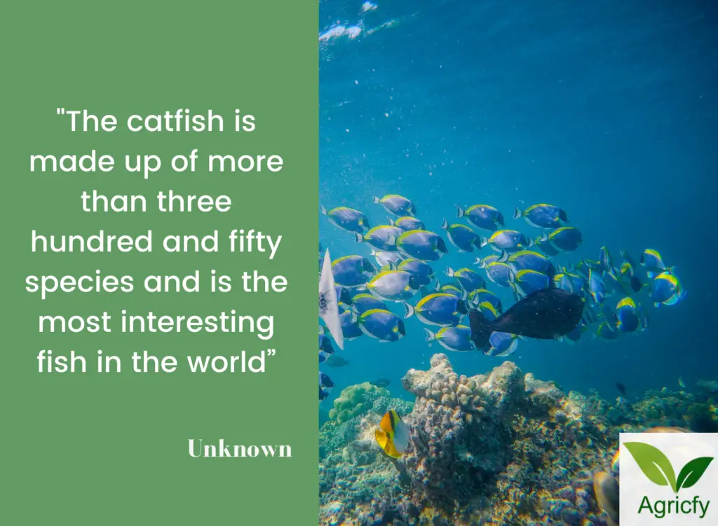 Quotes For Catfish Farmer