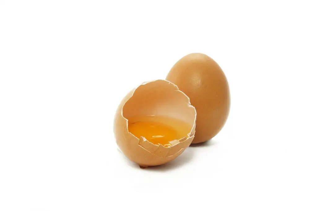 egg, egg yolk, yolk-2796898.jpg
