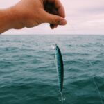 10 Fish Farming Ideas