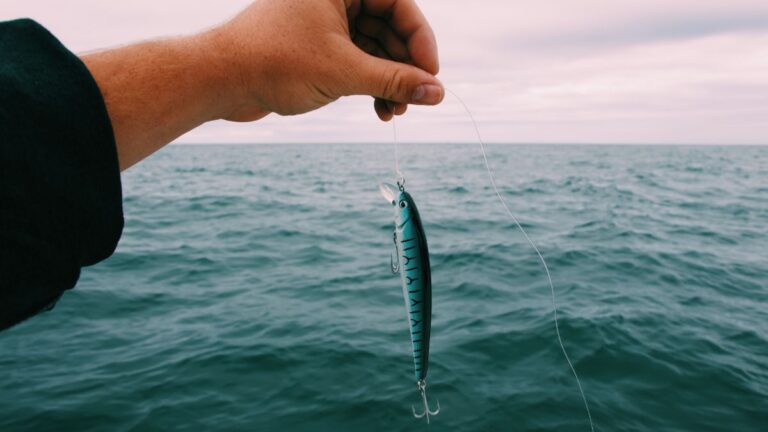 10 Fish Farming Ideas