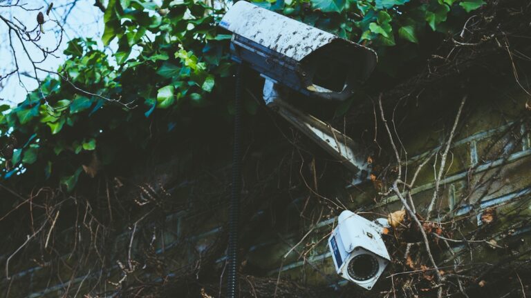 Best Farm Security Camera System