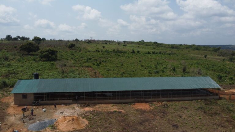 Types of Poultry House