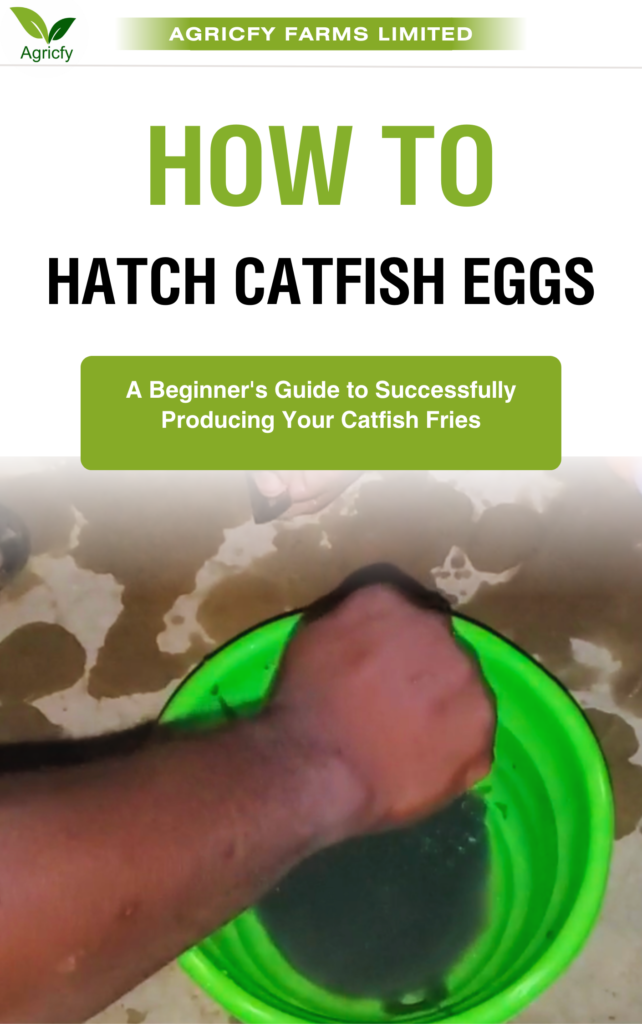 How To Hatch Catfish Eggs: A Beginner's Guide To Successfully Producing ...