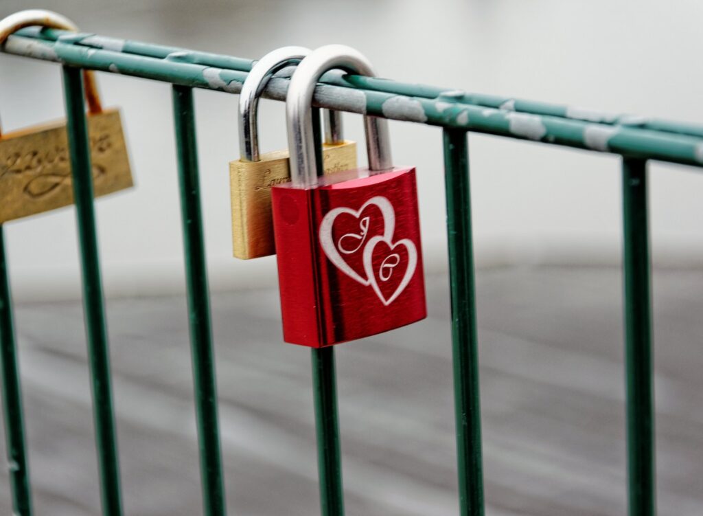 Padlocks On A Gate