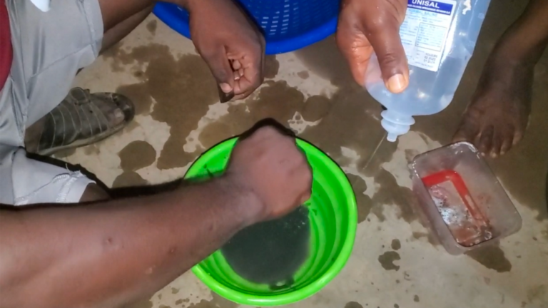 How To Hatch Catfish Eggs At Home