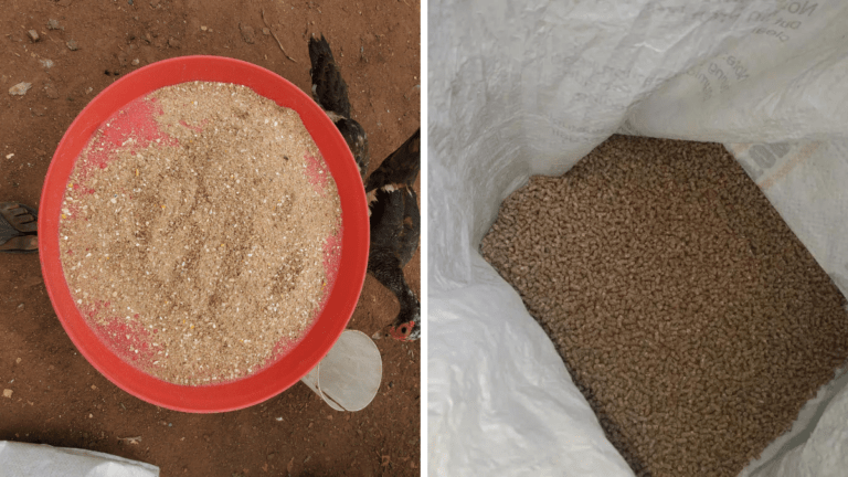 Difference Between Mash And Pellet