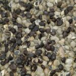 How To Make Locust Beans