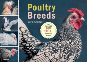 10 Best Books On Poultry Farming